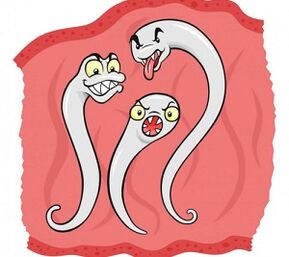 zer bizkarroi bizi daiteke giza gorputzean